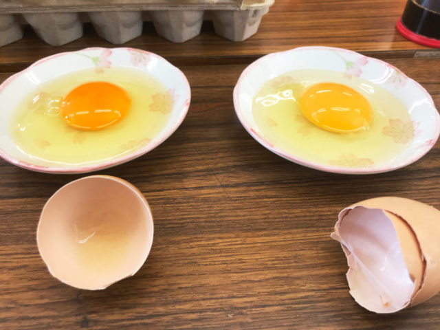 伊豆鶏業　卵の学習会