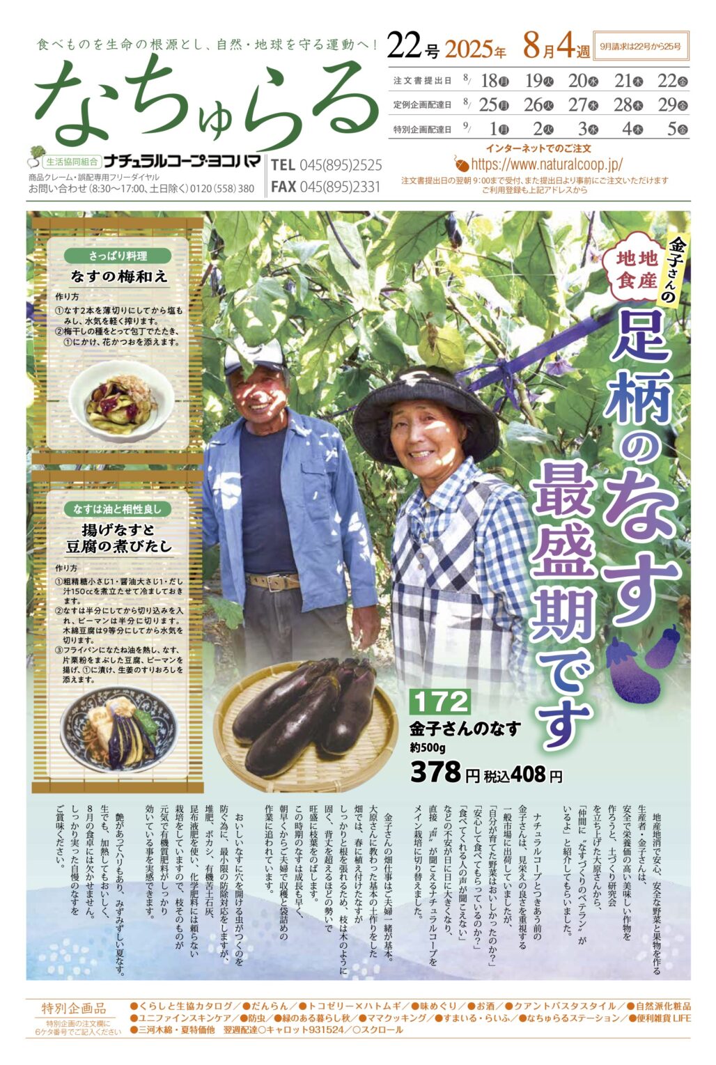 地産地消　金子さんの足柄のなす　最盛期です