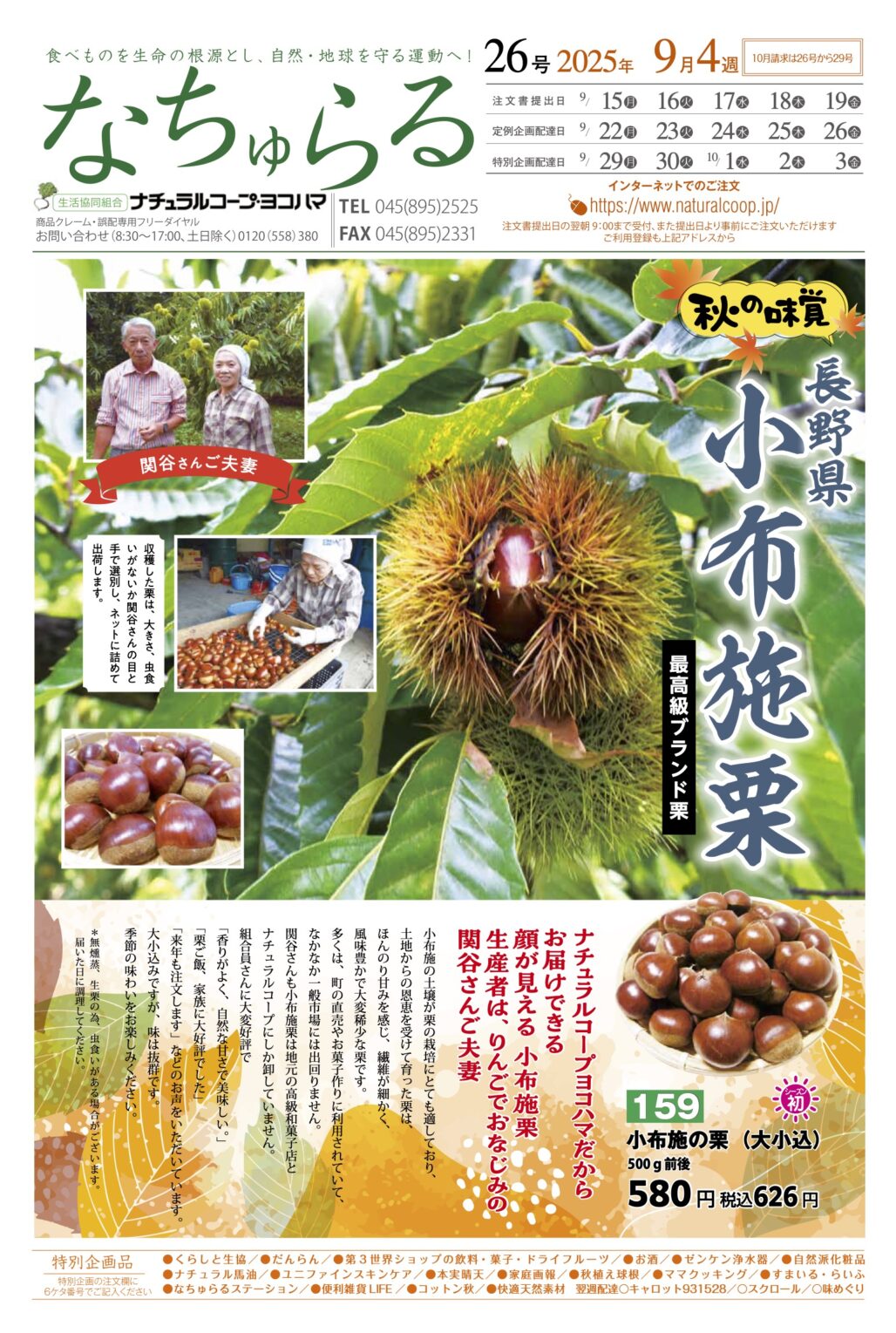 秋の味覚　長野県　小布施栗