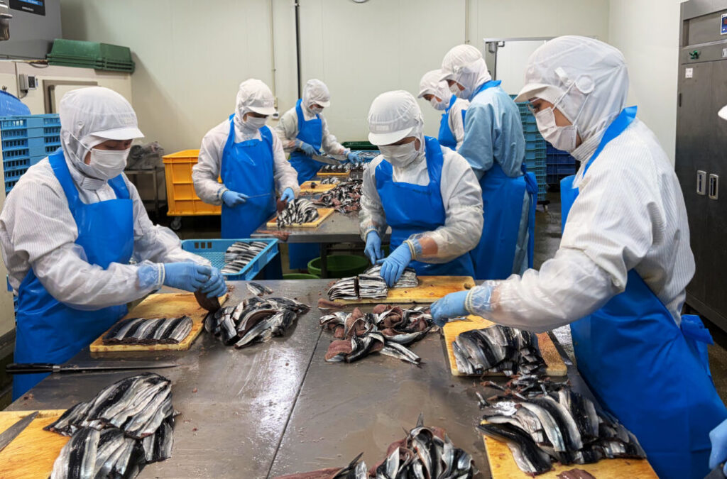 丸千水産(株)の見学に行って来ました!!ナチュラルコープヨコハマ